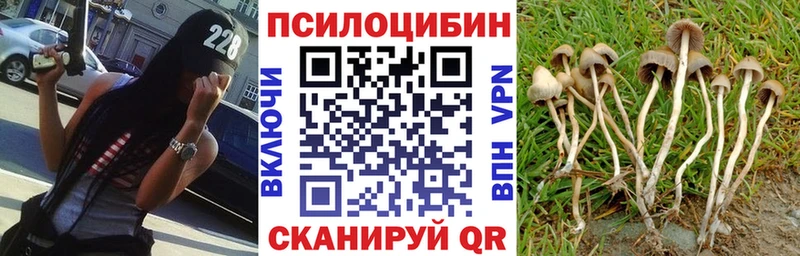 Псилоцибиновые грибы Cubensis  Мегион 